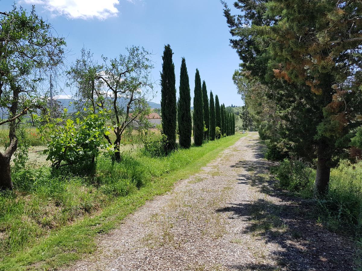 Agriturismo Bio Le 4 Stagioni Porrona Dış mekan fotoğraf